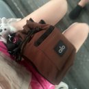 멍멍스쿨 | 보홀 체험다이빙 나팔링 수영초보 오션스쿨 내돈내산