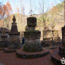 산림욕장 이미지