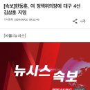 국힘 정책위의장 김상훈 수준 이미지