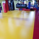 광양복싱클럽 이미지