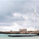 그리드제주 이미지