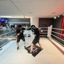 CLINCH복싱 이미지