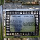 외포터미널 이미지