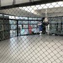 블랙리스트mma 이미지