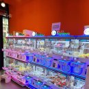 보라카이 오락실 이미지