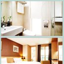 타니스테이 이미지