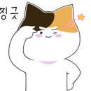 꿀꽈백 이미지