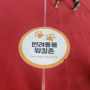 삼콩댕댕이발소 | 킨텍스 메가주 후기 기빨려서 혼났어요ㅋㅋ