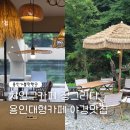 쇼핑을그리다 | 처인구카페 정그리다 용인아이랑 심야무인카페운영 야경맛집