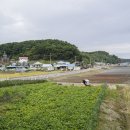 서도면사무소 이미지