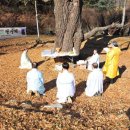 은행나무 경로당 이미지