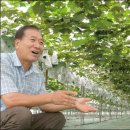 윤씨농장 이미지