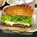 진주 버거스캔들 | 상대동 진주시청역 햄버거맛집