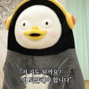 파주쇠꼴마을고고캠핑장 이미지