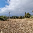 창천리-1 이미지