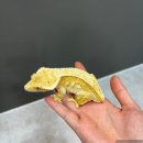 원주브리딩 이미지