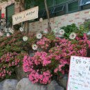 반송1동어린이집 이미지