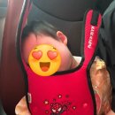 유나농장 | 일상)다산딸기 조합 농원 어린이집 체험학습