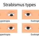 사시미래 이미지