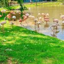 순천만 우리 이미지