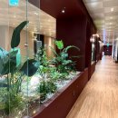 광주힐병원 이미지