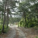 도원1리 이미지