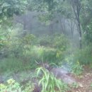 개금3동-13 | 낙남정맥 13차(원전고개-돌고지재)