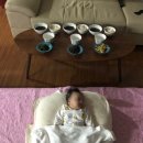 포내목장 | [육아일기] 100일 아가, 삼신상 차리기, 셀프 백일상 포내아이