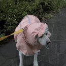 전곡한의원 | 지금 성실하게 씻고 딱 자가지고 아침에 일어나가지고 출근을 해야되는 거야. 돈을 벌어야 되는거야...