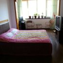 천지민박 이미지