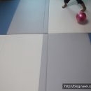 애드하우스주