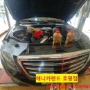 애니카랜드호평점 이미지