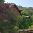 미천골산울림펜션 이미지