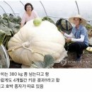 호박PC방 이미지