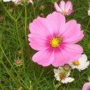 신당종합사회복지관 이미지