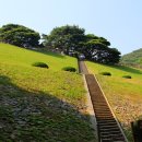 나무사이로 햇살이 이미지