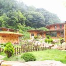 오고가고펜션 이미지