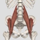 밀리언스크린골프 이미지