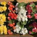 만의골 보리밥집 이미지