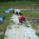 일석농장 이미지