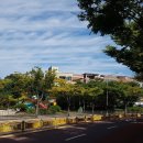 관곡초등학교 이미지