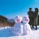 코편한한의원 이미지