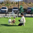 헤이커멍 이미지