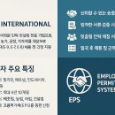SG인터내셔널 (SG International)
