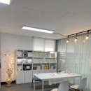 아이디얼라인 | 헤어라인은 필수.. 내돈내산 후기: 청주 아이디얼 뷰티