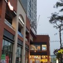 미스트롯노래연습장 이미지
