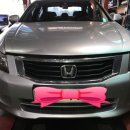 이지카샵 이미지