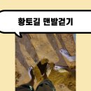 녹천교 화장실 | 서울에도 황토길이 있다니 노원 황톳길에서 맨발걷기 했어요