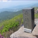 제 773차 빛고을새즈믄 산악회 산행안내 황매산(합천)철쭉산행 이미지