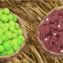 미래안경 이미지